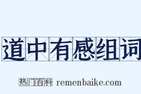 道中有感组词是什么意思的图片